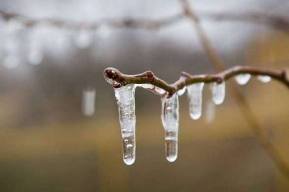 В Україні очікується весняне тепло і сонце: прогноз погоди на 15 лютого