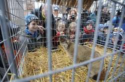 Львовский сурок Маруся предсказала раннюю и теплую весну (фото, видео)
