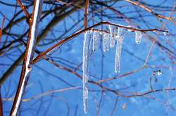 Киянам обіцяють на вихідні до +9 градусів тепла