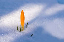 В Україні очікується різке потепління