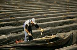 Польща вирішила заохотити своїх громадян повернутися з еміграції