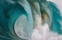 Фото: instagram.com/raycollinsphoto/