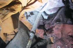 Нападник приховав в одязі кухонний ніж