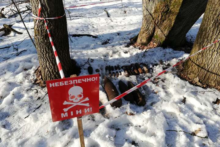 У лісі на Київщині виявлено кілька десятків снарядів