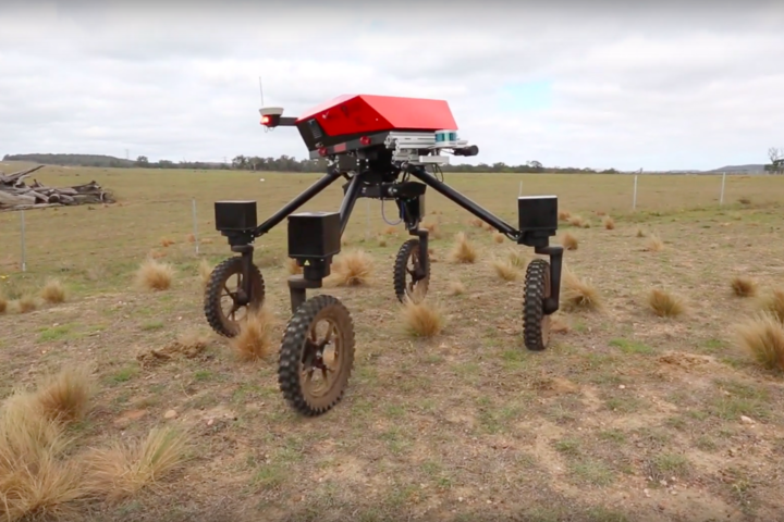 Австралийские ученые научили робота находить сорняки и поливать их гербицидами