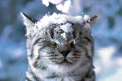 Атмосферні фронти принесуть в Україну мокрий сніг та дощі