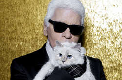 На страничке кошки Лагерфельда появились слова благодарности за соболезнования