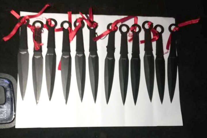 Прикордонники виявили 12 метальних ножів в автомобілі, який прибув із США