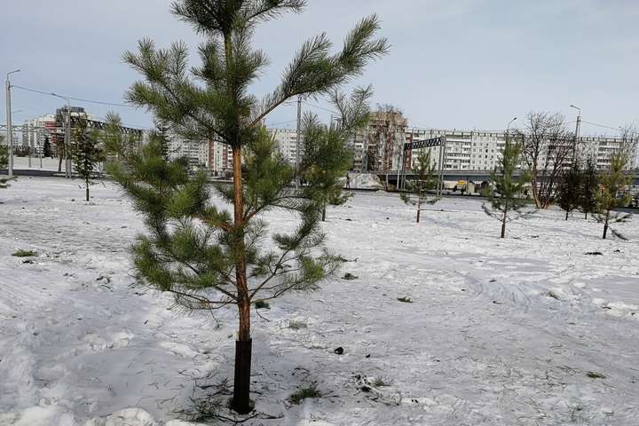 Росія готується до Універсіади: ілюзію снігових заметів створюють білими килимками (фото і відео)