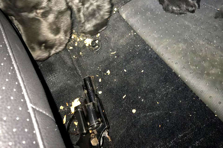 Прикордонники Одеського загону виявили зброю в автомобілі, який прибув у контейнері
