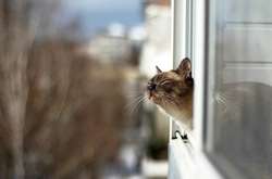 Синоптик розказала, якою буде погода на вихідних і коли чекати потепління