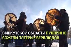 В Росії розслідують випадок із жертвоприношенням верблюдів «для зміцнення народів РФ»