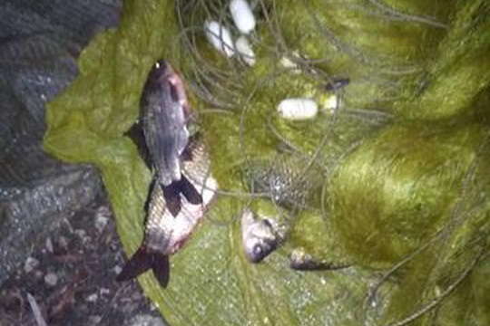 На Вінниччині виявили рибалку-браконьєра