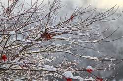 Синоптики рассказали, какой будет погода на выходных