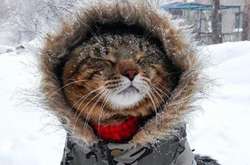 24 лютого в Україні буде зимно&nbsp;