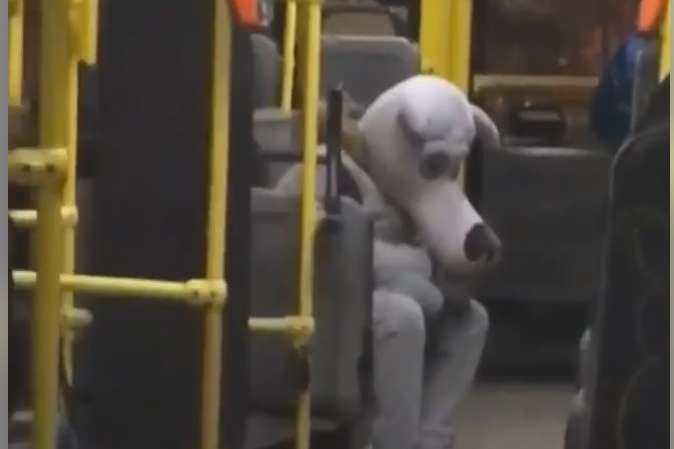 У столичному тролейбусі катався «вовк» (відео)
