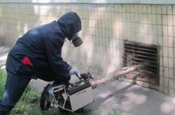 У будівлях ГПУ і САП завелися щури