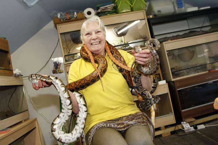 Британська пенсіонерка витратила 135 тисяч фунтів на колекцію з 500 смертельних змій