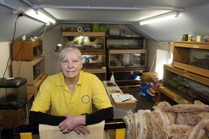 Пенсионерка из Британии потратила почти £135 тысяч на коллекцию из 500 смертельных змей