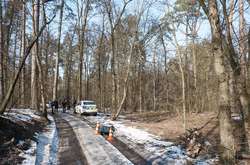 Тіло лежало на дорозі в лісі