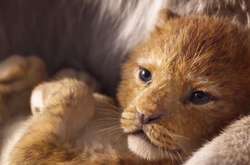 В сети появился новый тизер нашумевшего «Короля Льва»