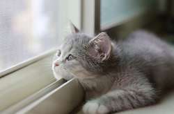 Синоптик рассказала, когда в Украине начнется существенное потепление