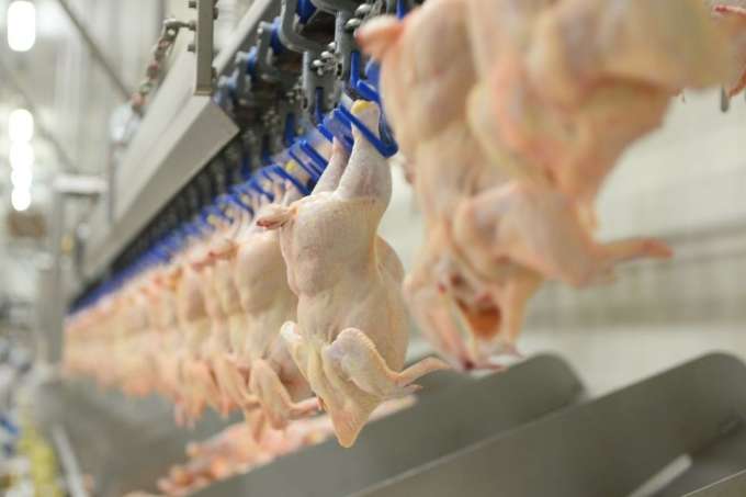 Україна за рік подвоїла поставки курятини в ЄС