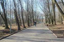 Останній день зими буде по-весняному теплим: прогноз погоди на 28 лютого