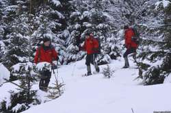 У Карпатах шукають двох туристів з Одеси – ДСНС