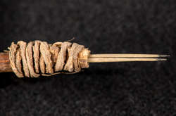 В США обнаружен 1900-летний инструмент для набивки татуировок