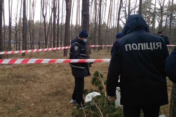 У Києві в лісосмузі знайшли тіло новонародженого