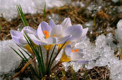 В Україні очікується потепління:прогноз погоди на 3 березня