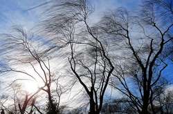  4 березня по Україні пориви вітру 15-20 м/с, на високогір'ї Карпат 25 м/с 