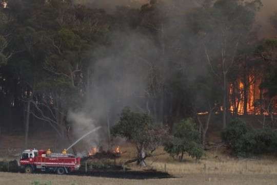 В Австралії масштабні пожежі знищили понад шість гектарів лісу