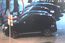 Камери відеонагляду зафіксували паліїв