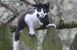 Українців найближчими днями очікує синоптичний кордебалет