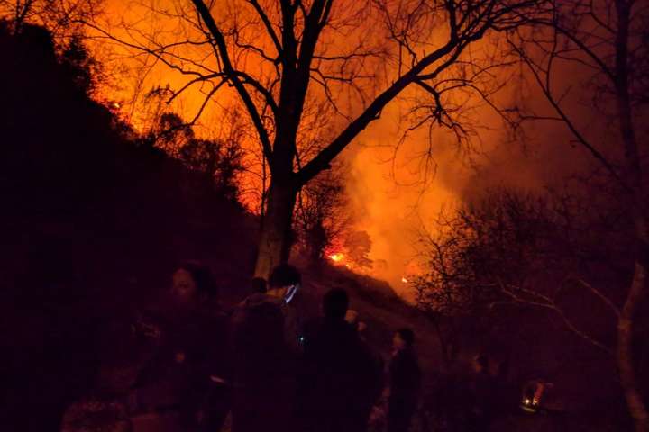 На півночі Іспанії спалахнули лісові пожежі