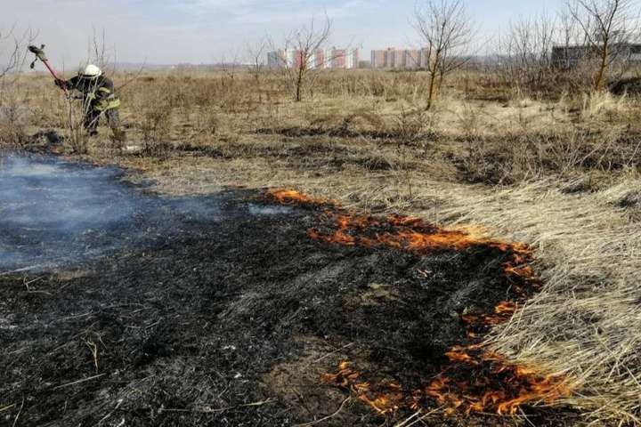 В Киевской области участились масштабные травяные пожары