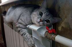 В Черновцах отключили отопление