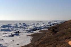 У Генічеську знайшли вбитим фермера, оголошеного в розшук після смерті дружини