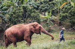 Победители конкурса The National Geographic Instagram: яркие фото