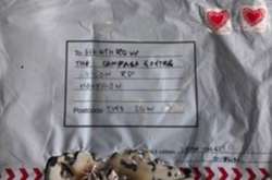 ЗМІ знайшли «ірландський слід» у посилках з вибухівкою в Лондоні