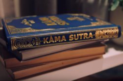 IKEA выпустила собственную версию «Камасутры»