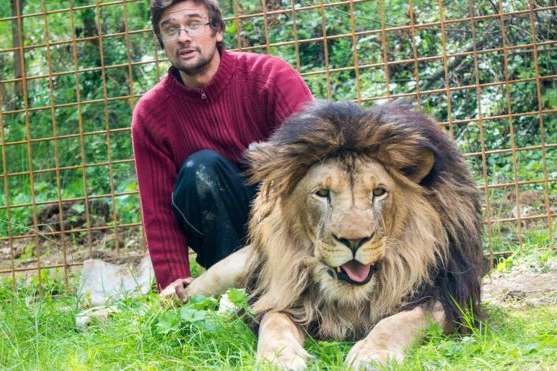 У Чехії лев на смерть загриз свого 33-річного господаря