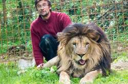 У Чехії лев на смерть загриз свого 33-річного господаря