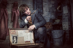 Студия Warner Bros. снимет «Фантастические твари 3», несмотря на провал второй части