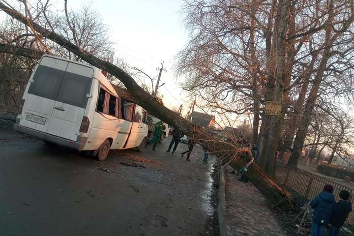 На Київщині на маршрутку з пасажирами впало дерево (фото)