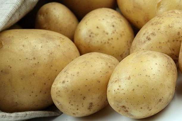 В Україні вже продають молоду картоплю 