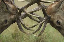 Українцям потрібно навчитися поважати чужу точку зору