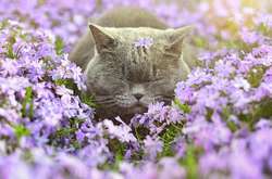 Погода на четвер: в Україні буде сонячно та без опадів